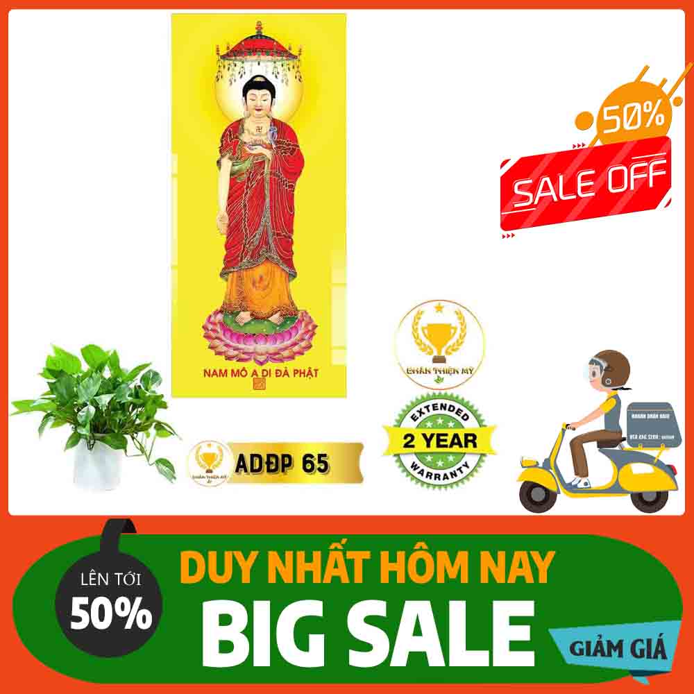 Tranh A Di Đà Phật 05