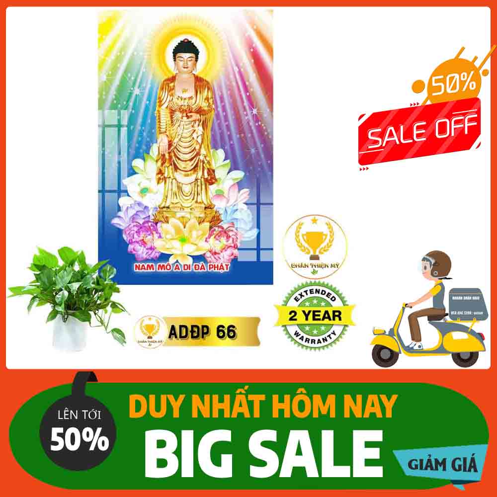 Tranh A Di Đà Phật 05