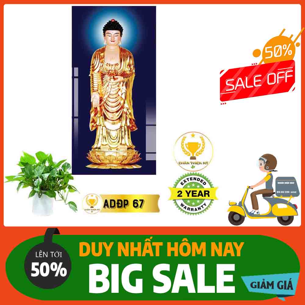Tranh Phật A Di Đà MS 67