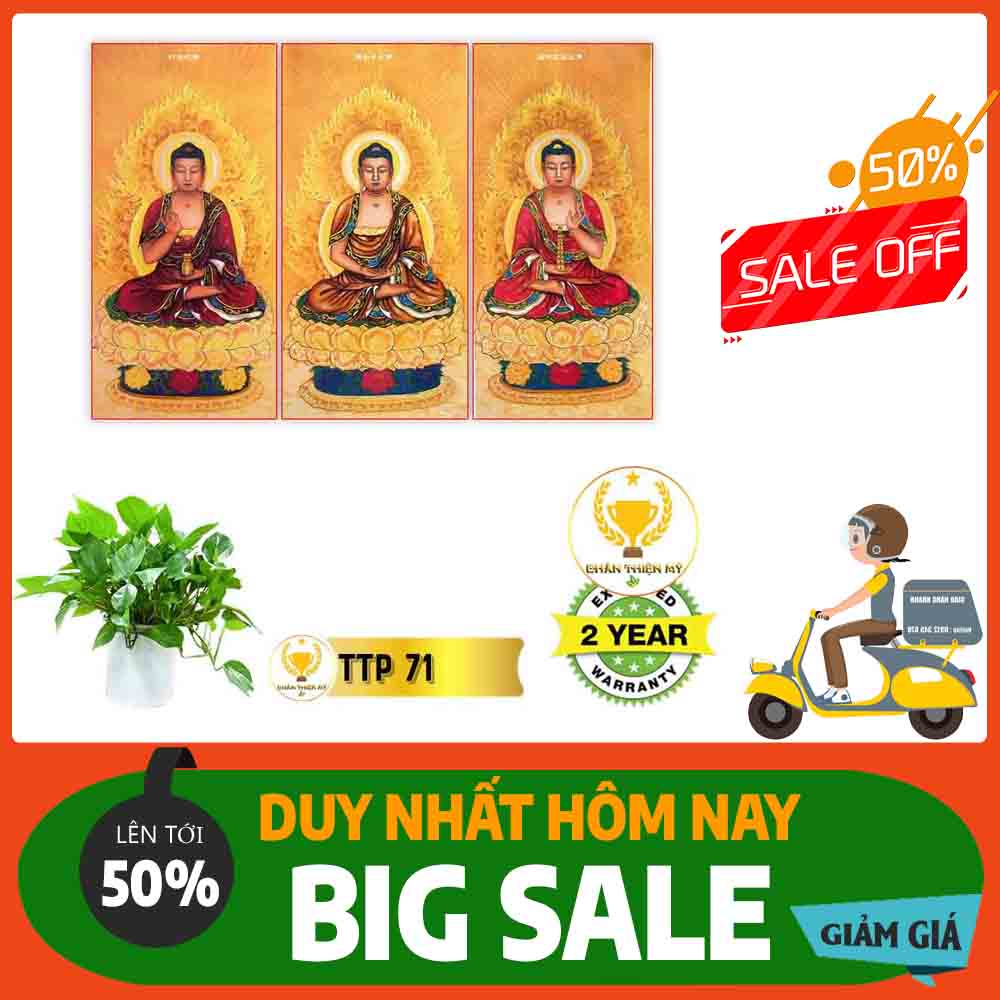 Tranh Tam Thế Phật MS 71