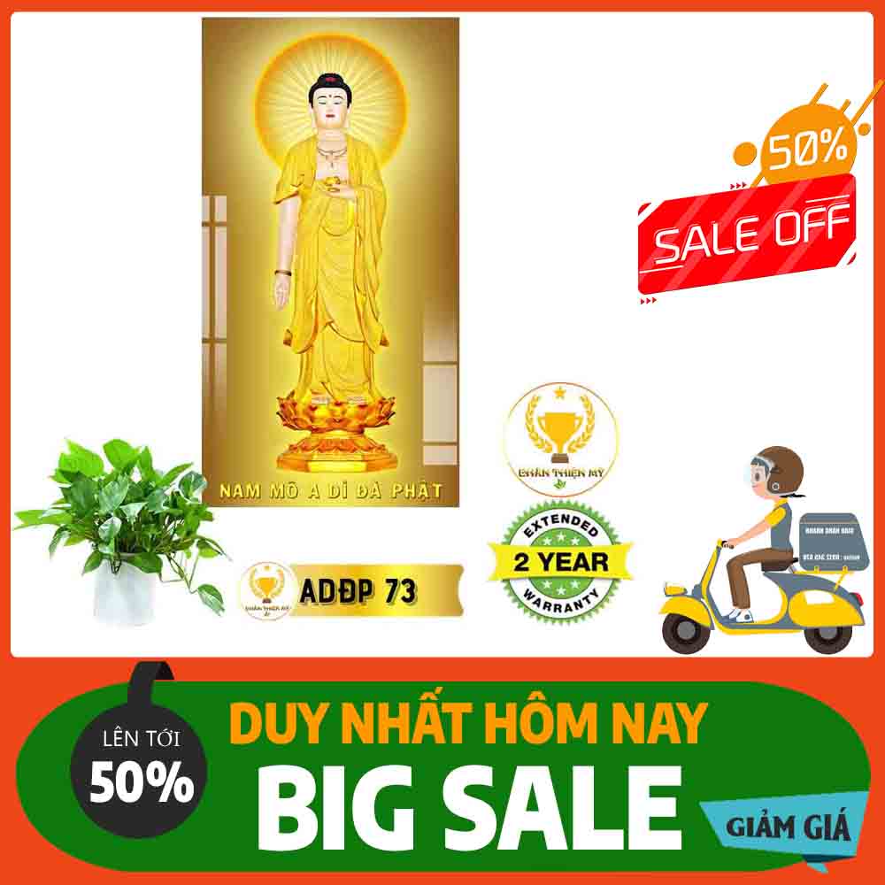 Tranh A Di Đà Phật 05