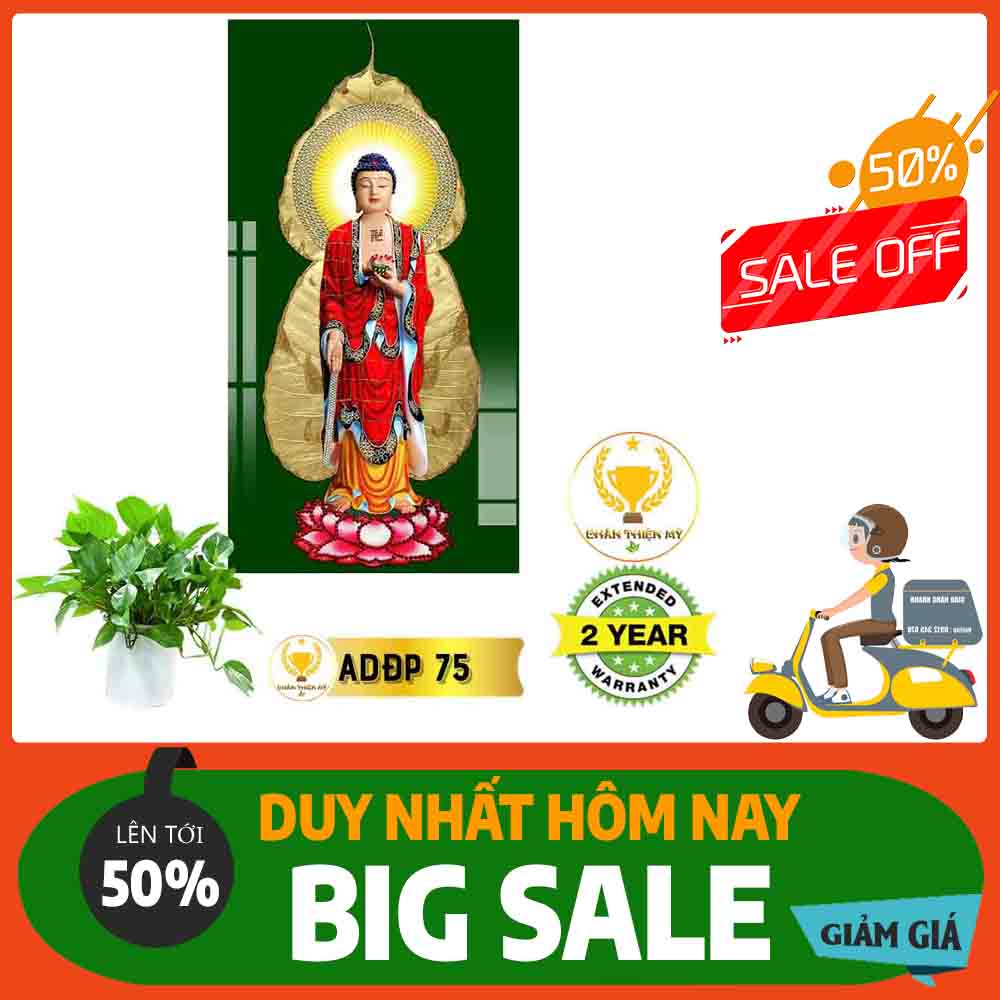 Tranh A Di Đà Phật 05