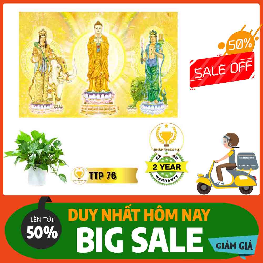 Tranh Tam Thế Phật MS 76