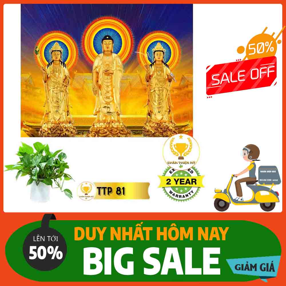 Tranh Tam Thế Phật MS 81