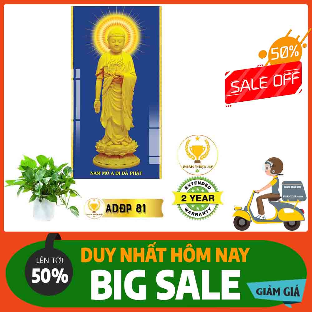 Tranh Phật A Di Đà MS 81