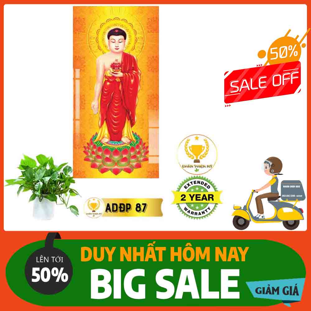 Tranh Phật A Di Đà MS 87