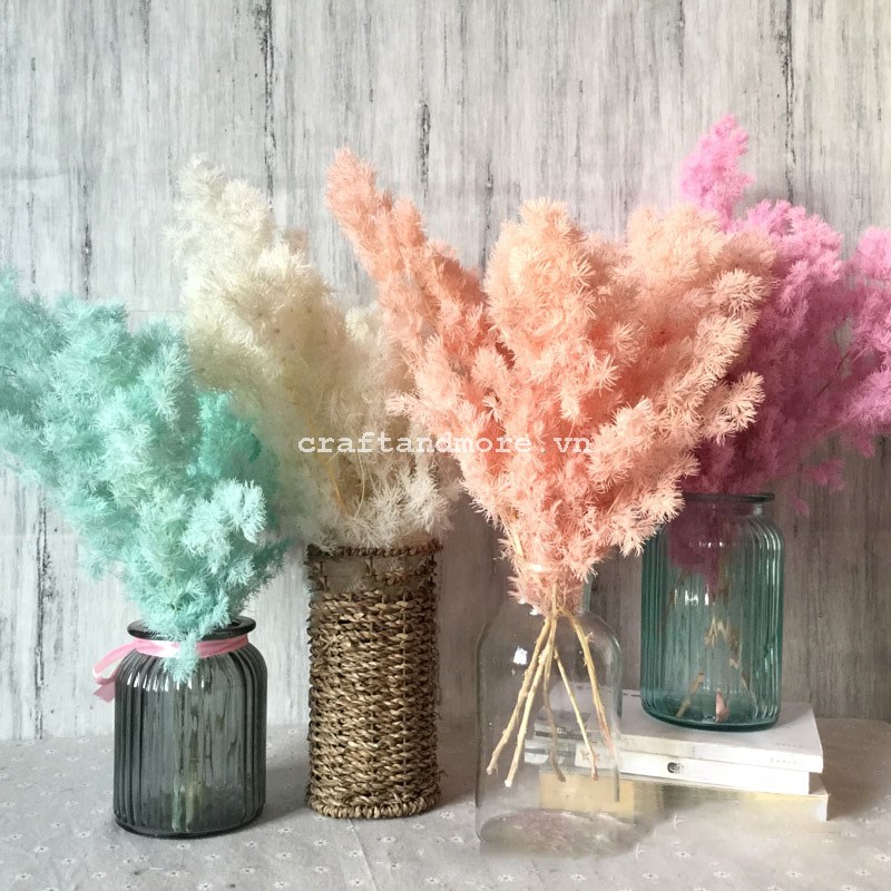 Hoa được sấy khô Thông bồng lai