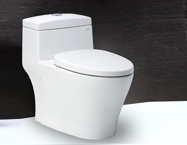 Bồn cầu Caesar áp dụng công nghệ sứ chịu nhiệt giúp cho các sản phẩm có độ bền, đường nét rõ ràng, sắc sảo,...