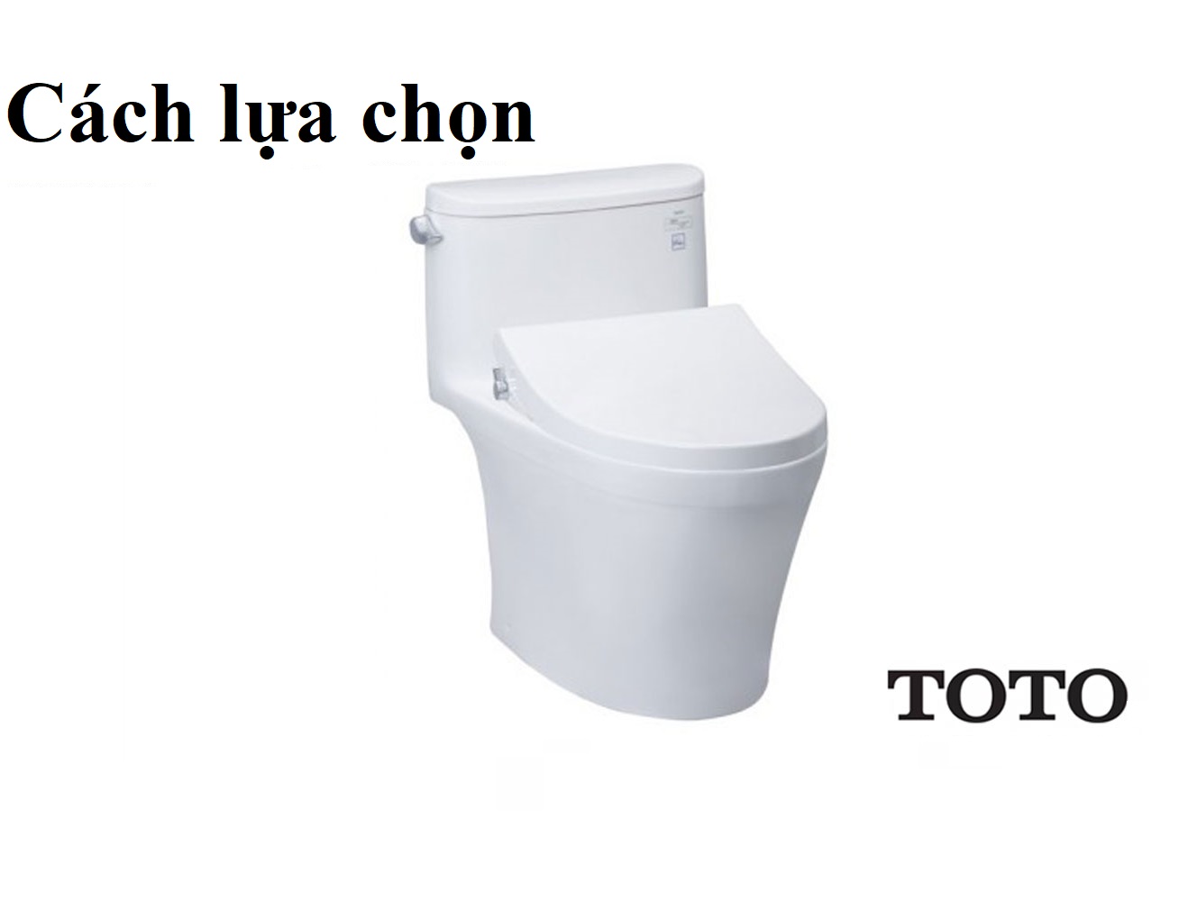 Tham thảo cách lựa chọn bồn cầu ToTo
