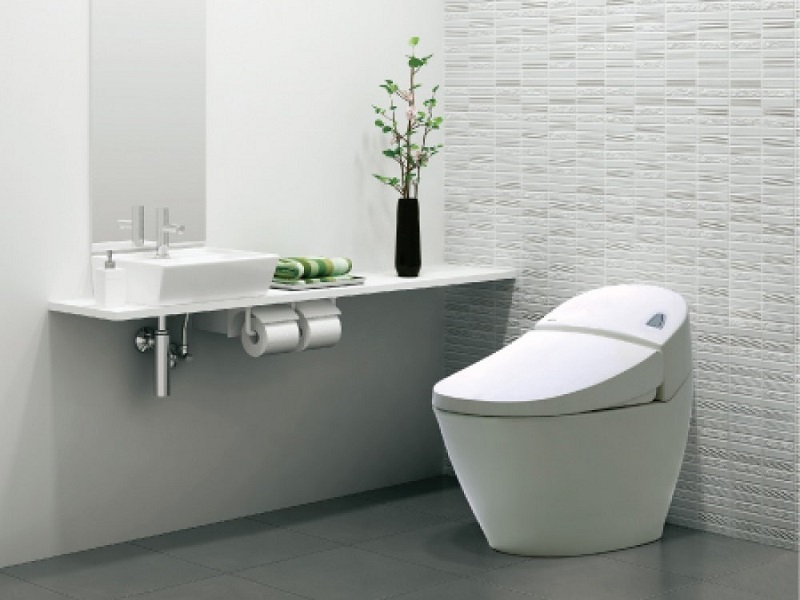 Thương hiệu vệ sinh Inax có các sản phẩm đa dạng cùng thiết kế đẹp mắt