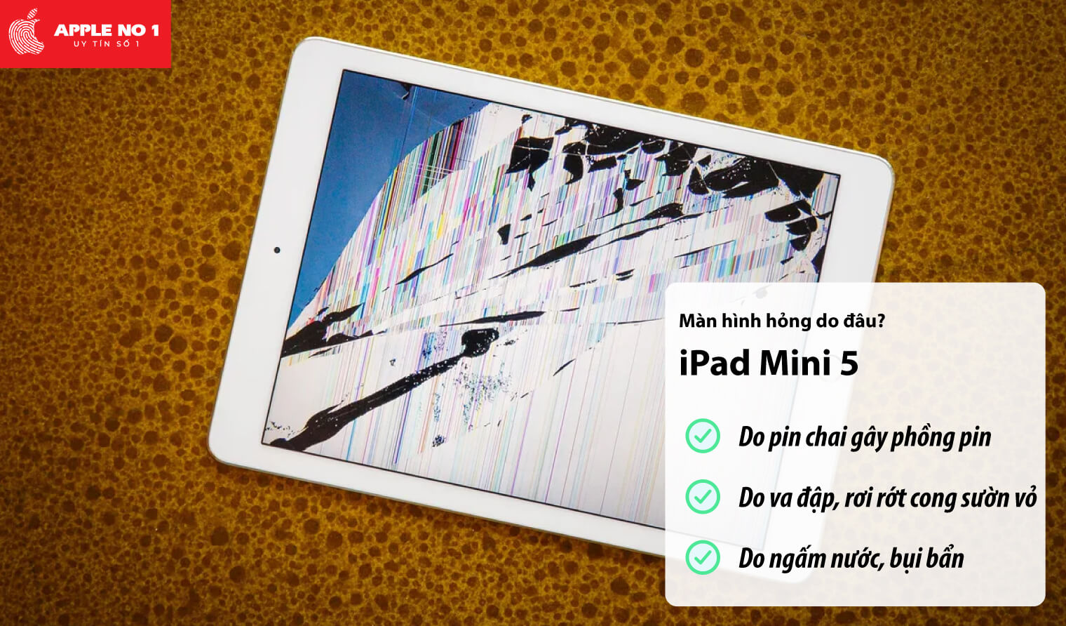 Màn hình iPad mini 5 bị hỏng do đâu?