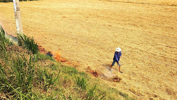 dat-mat-dinh-duong-do-thu-hoach-cay-trong