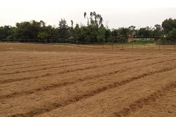 Xu-ly-dat-truoc-khi-trong-ot