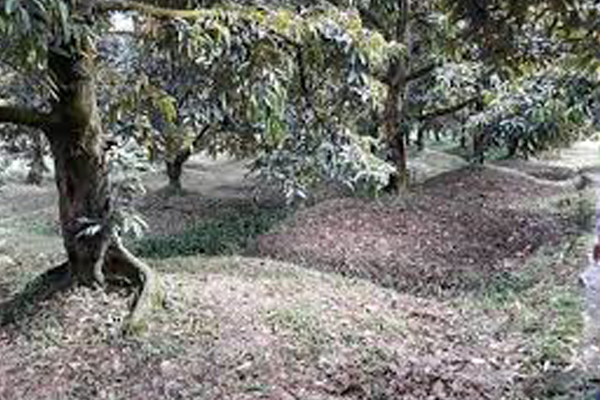 Tao-su-thong-thoang-cho-ranh-thoat-nuoc