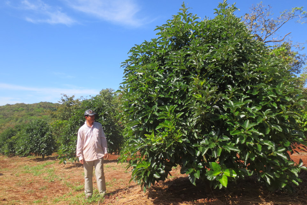 Thương-xuyen-tham-vuon-bo