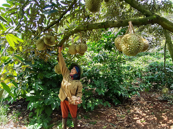 nguyen-tac-khi-trong-xen-canh