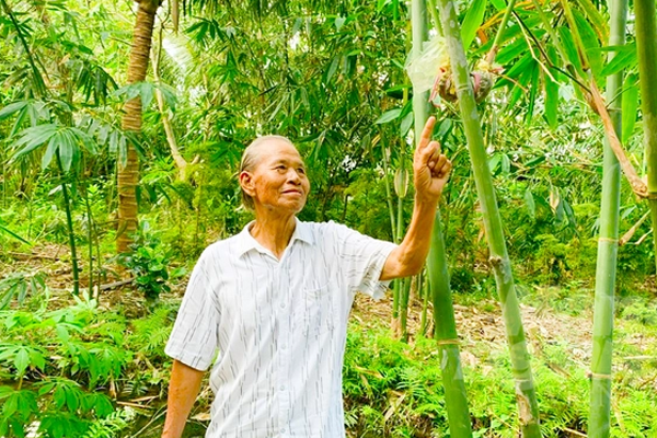 Ong-Giao-ben-vuon-tre-cua-minh