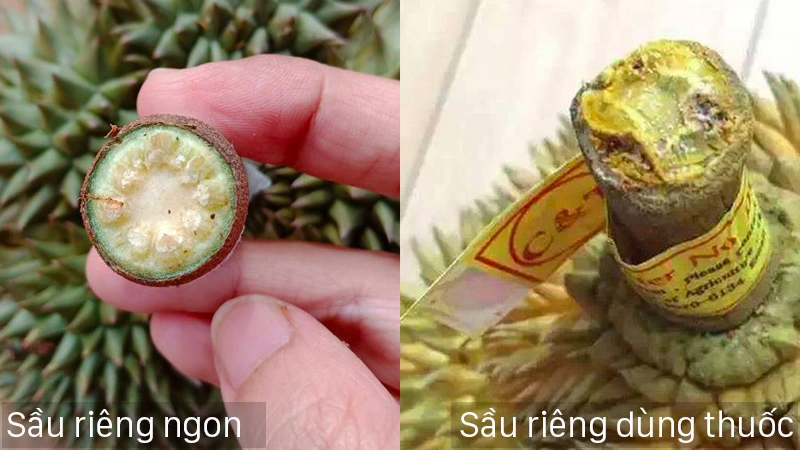 Thu-do-tuoi-moi-dua-vao-phan-cuong