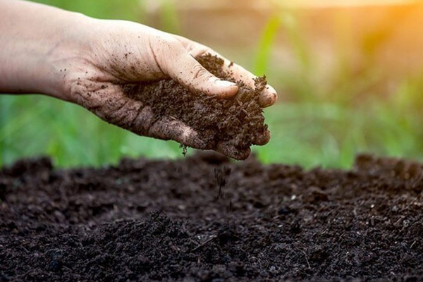 Bon-phan-huu-co-truyen-thong-cho-cay