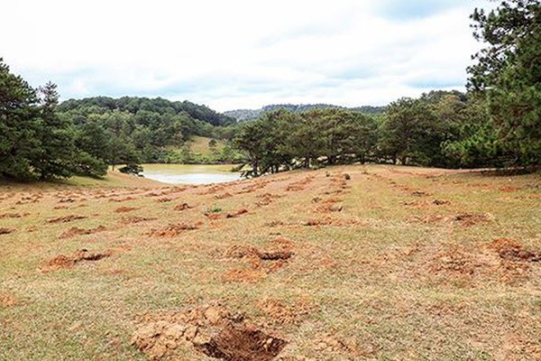 Chaun-bi-dat-trong-sau-rieng