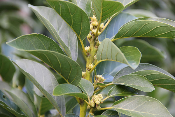 luu-y-bon-phan-cham-soc-bo