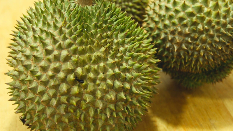 Chon-nhung-trai-co-gai-no-to-,-cung-va-deu-