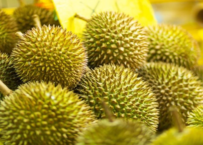 Chi phí vận chuyển ánh hưởng tới giá sầu riêng hôm nay