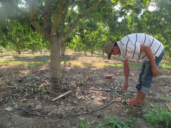 giu-am-cho-dat-mua-kho-han