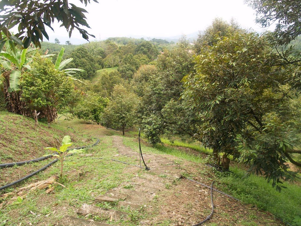 Đảm bảo lượng nước khi làm đất