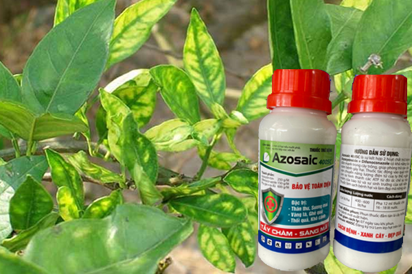 Thuoc-tru-benh-AZOSAIC-400SC
