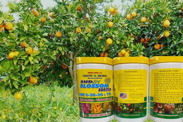 Phan-bon-la-GROW-AND-MORE-BUD-BLOSSOM-BOOSTER-NPK-6-30-30+TE