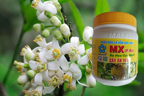 PHAN-BON-LA-HON-HOP-NPK-MX-(-F.BO-)