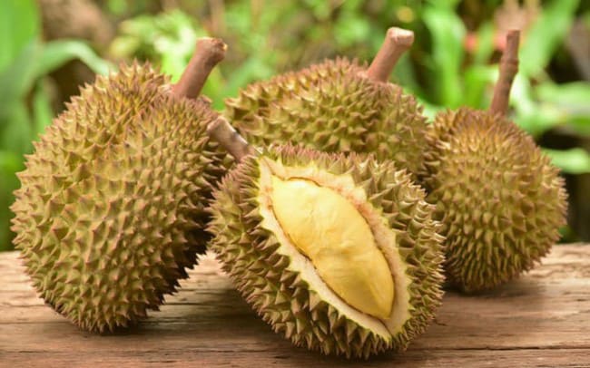 Gia-sau-rieng-Thai-Lan-Monthong-(-Dona-)