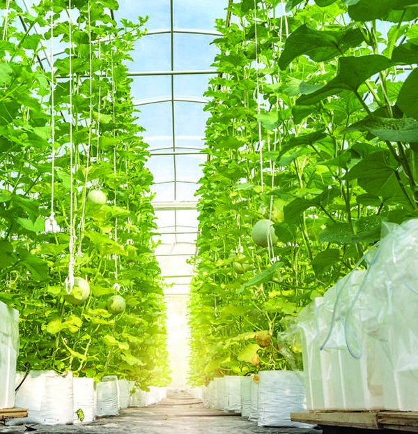 ung-dung-nong-nghiep-thong-minh