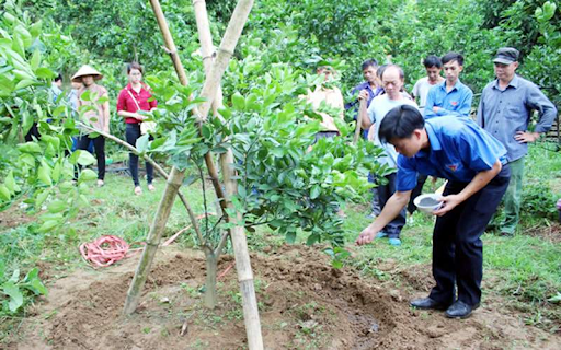 Nhu cầu dinh dưỡng cho sầu riêng giai đoạn nuôi trái
