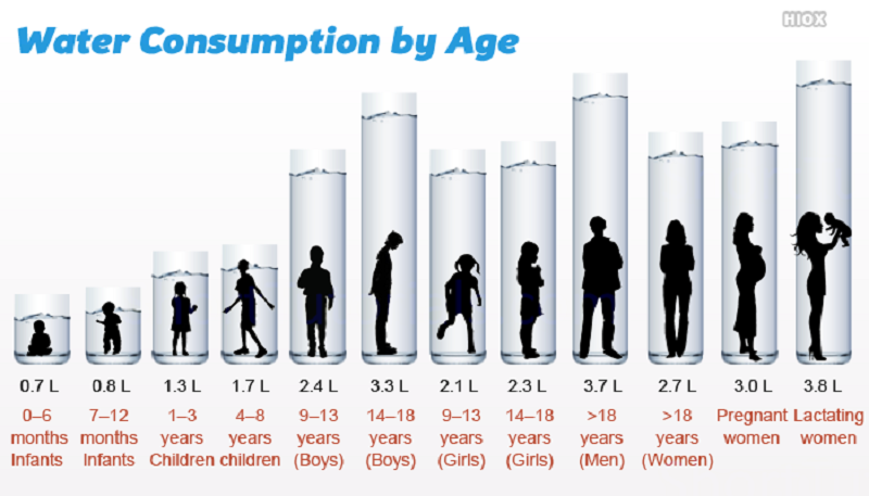 Mỗi độ tuổi sẽ cần lượng nước khác nhau
