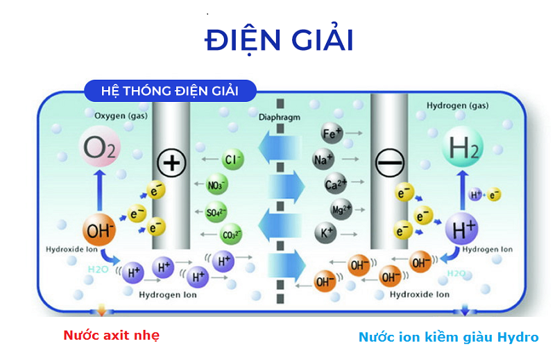 Hệ thống điện giải trong máy lọc nước ion kiềm