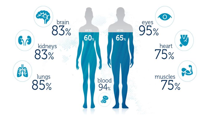 Vai trò của nước đối với sức khỏe