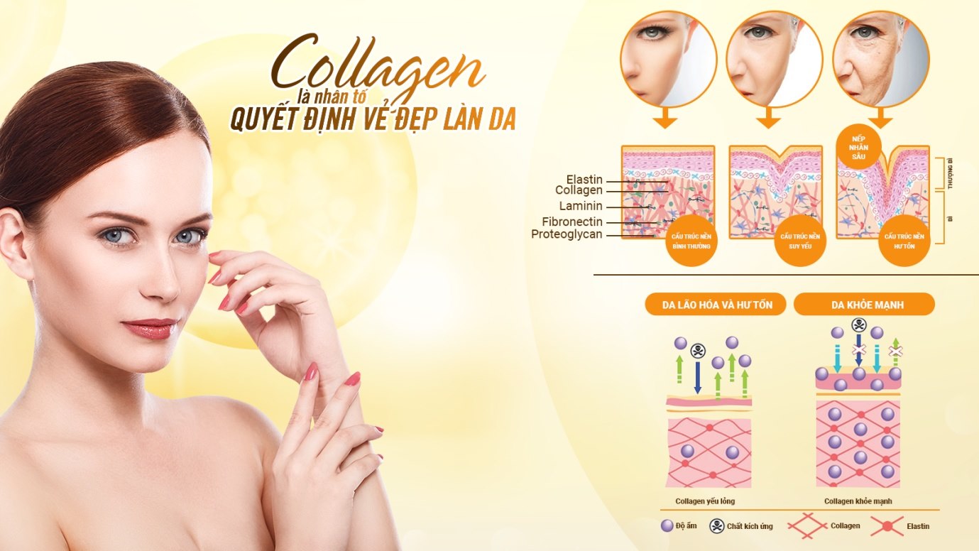 Collagen mỹ phẩm cao cấp cho làn da của bạn