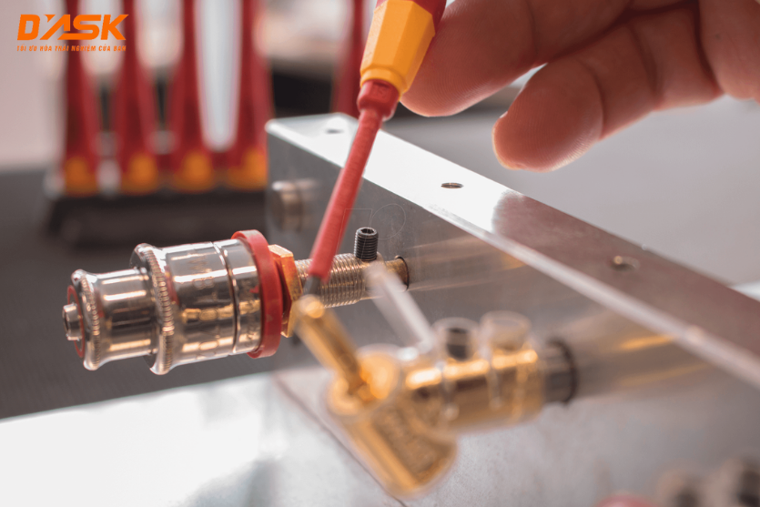 cau tao tua vit cách dien