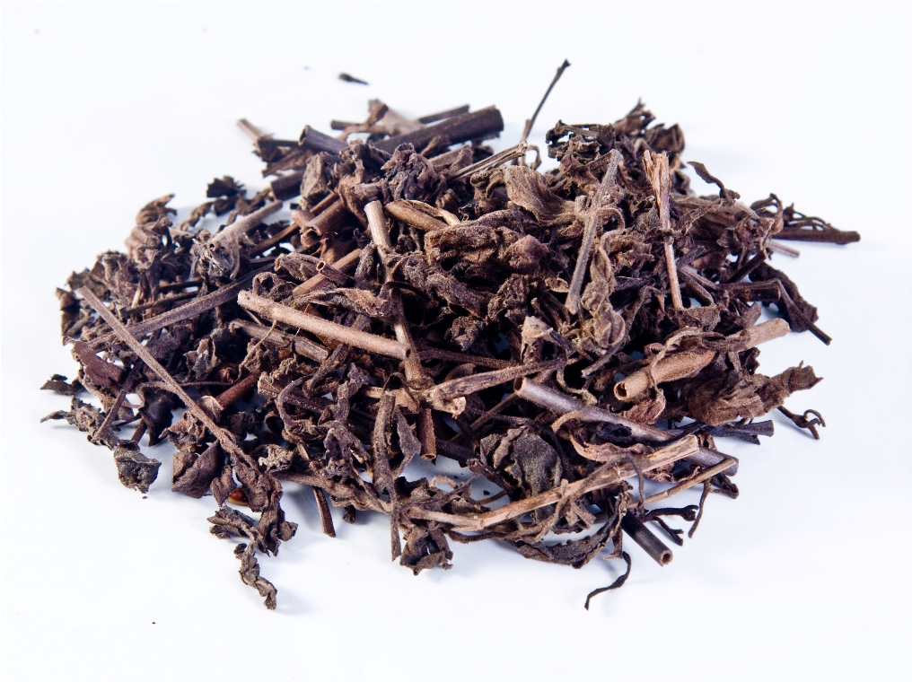 Cây nhân trần | bồ chè, chè đồng, chè nội, chè cát, nhân trần cao