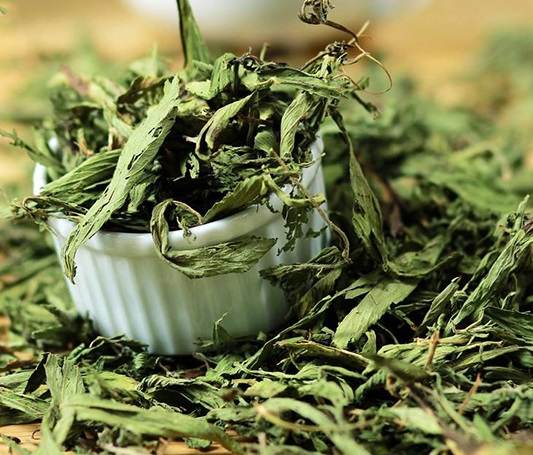 mua cây cỏ ngọt khô ở đâu, trà cỏ ngọt