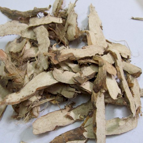 Cây thạch xương bồ| Xương bồ | Cửu tiết xương bồ | Thủy xương bồ