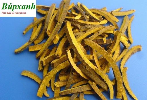 Hoàng bá | Vỏ cây núc nác | Địa chỉ bán hoàng bá nam chữa bệnh ngoài da, vảy nến