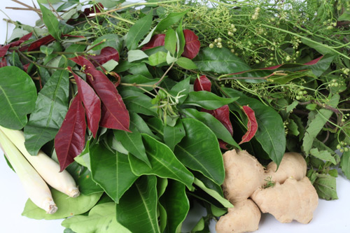 Bài thuốc xông giải cảm | Thuốc xông hơi trị cảm | Lá xông giải cam