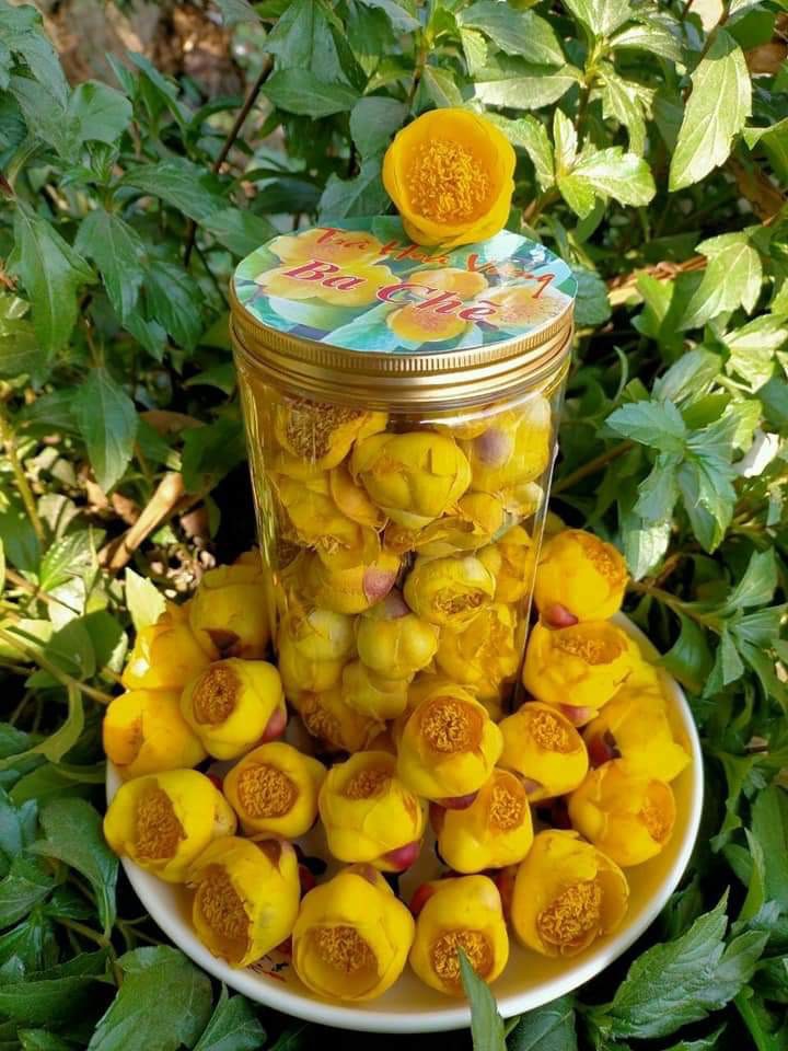 Trà hoa vàng sấy lạnh