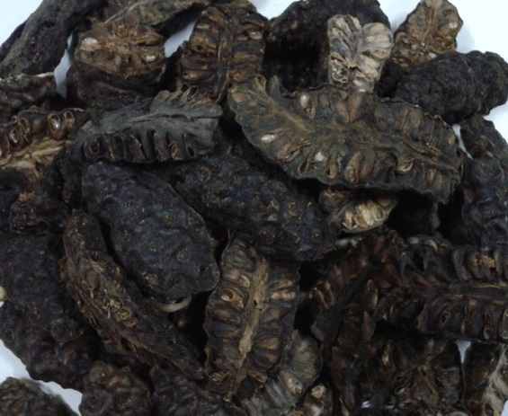 Quả nhàu | Trái nhàu | Rễ nhàu | Bột Nhàu | Nước ép Nhàu | Cây nhàu