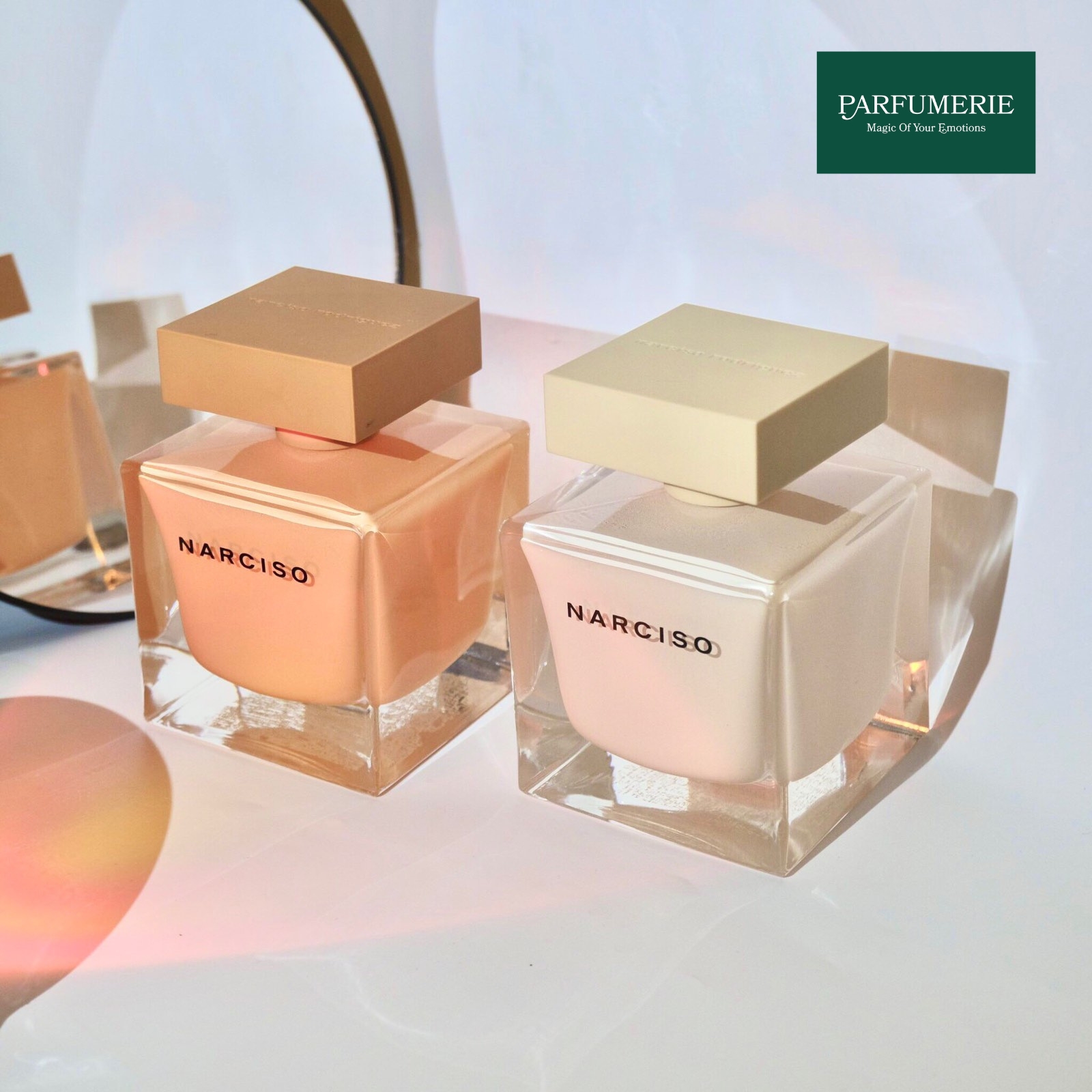 Điều gì đã làm nên điểm khác biệt giữa Narciso Poudrée và Narciso Ambrée?