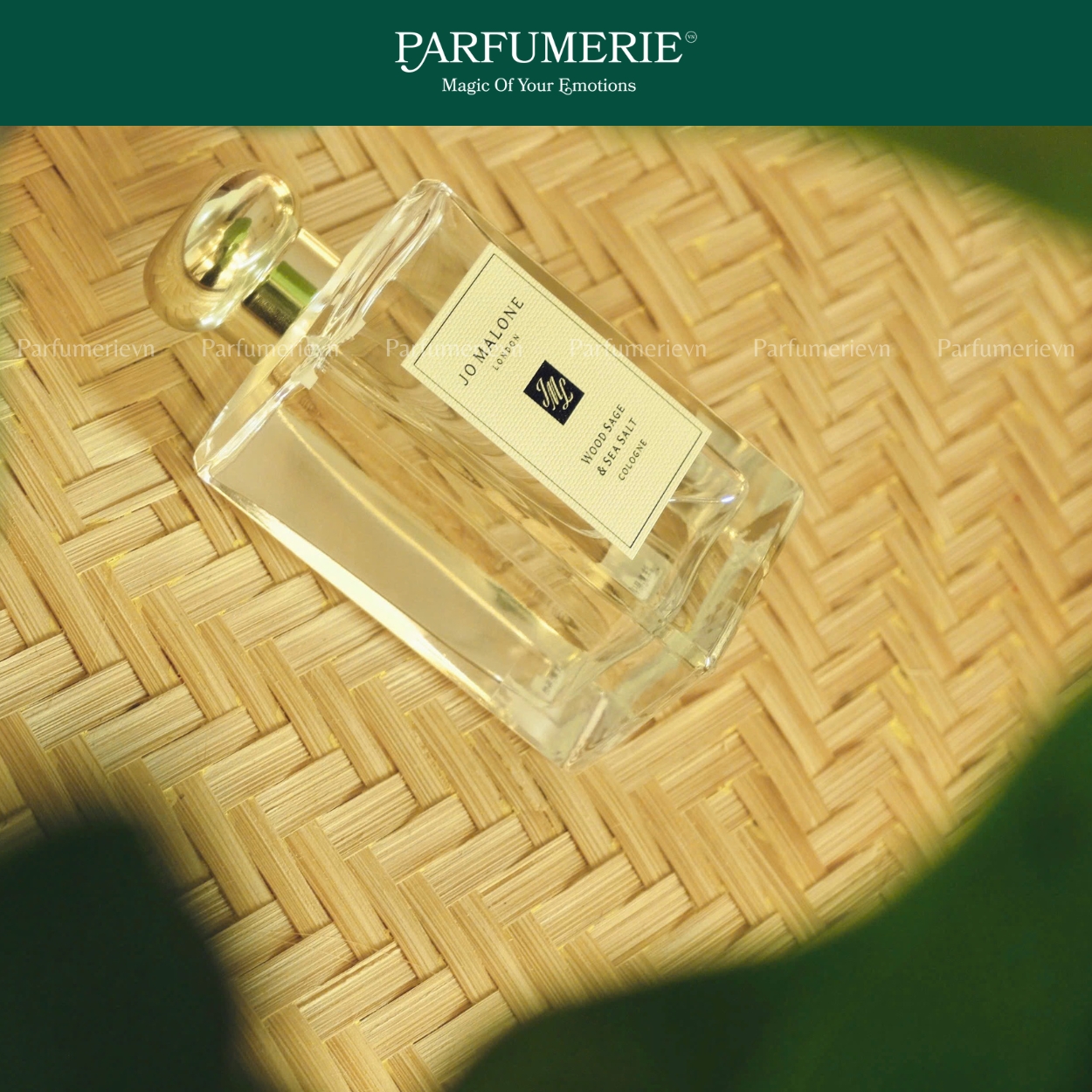 Nước hoa Jo Malone Wood Sage & Sea Salt được lấy cảm hứng từ nét độc đáo và thoáng đãng của bãi biển Anh Quốc