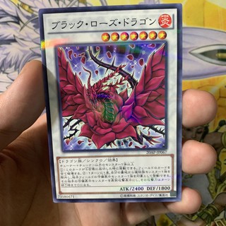 Black Rose Dragon6